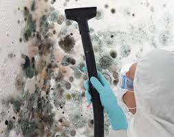 Best Emergency Mold Remediation in Pagedale, MO